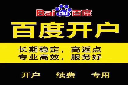 百度竞价推广案例：行业领军者成长故事